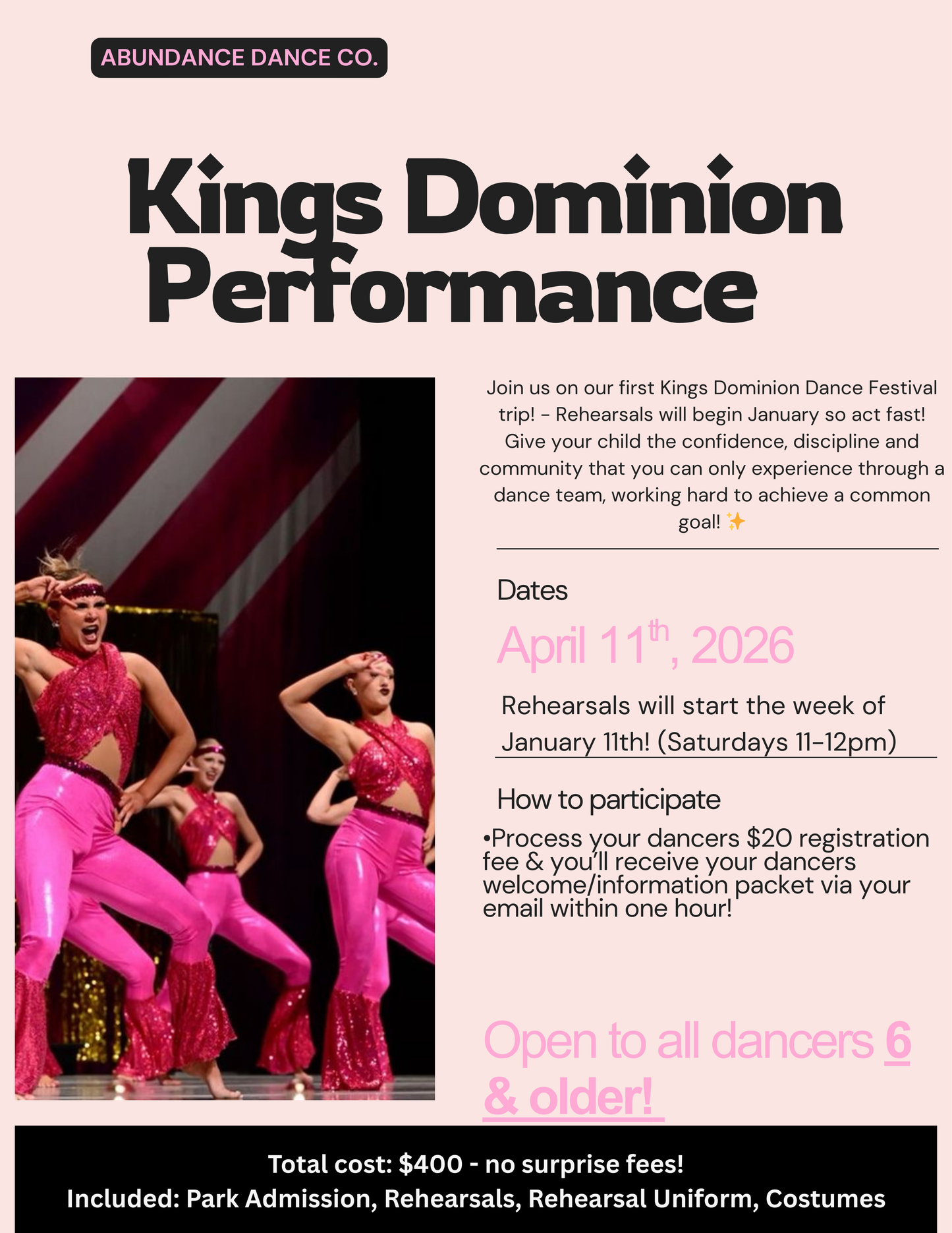 Performance Team Registration Fee